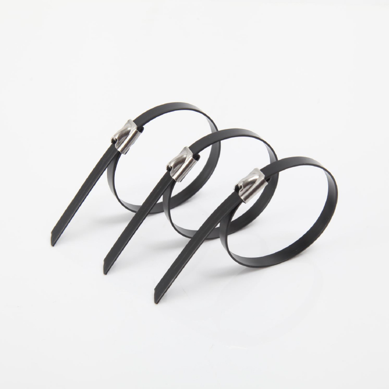 304 Plastic Sprayed Stainless Steel Cable Tie