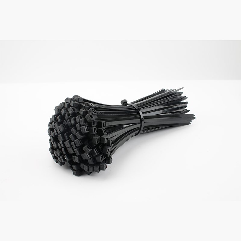 304 Stainless Steel Cable Gland