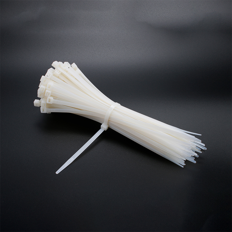 304 Stainless Steel Cable Gland
