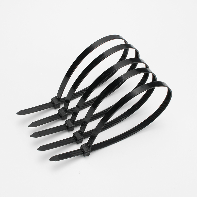 Releasable Nylon Tag Cable Tie