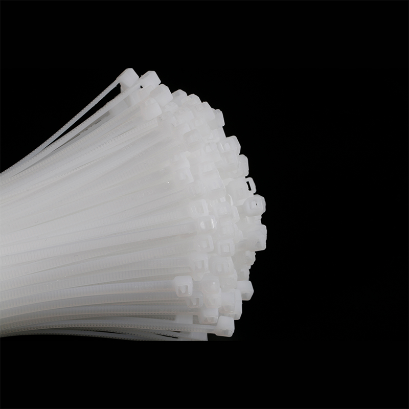304 Stainless Steel Cable Gland